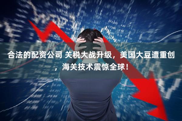 合法的配资公司 关税大战升级，美国大豆遭重创，海关技术震惊全球！