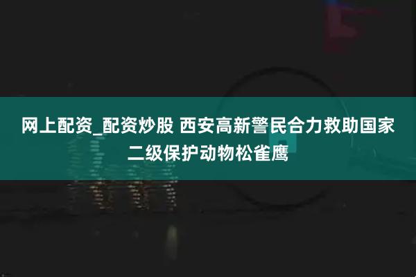 网上配资_配资炒股 西安高新警民合力救助国家二级保护动物松雀鹰