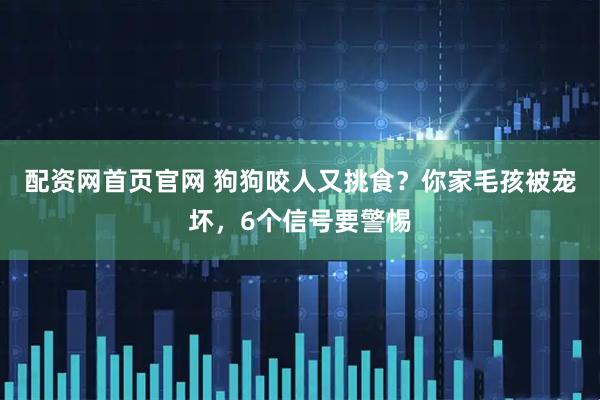 配资网首页官网 狗狗咬人又挑食？你家毛孩被宠坏，6个信号要警惕