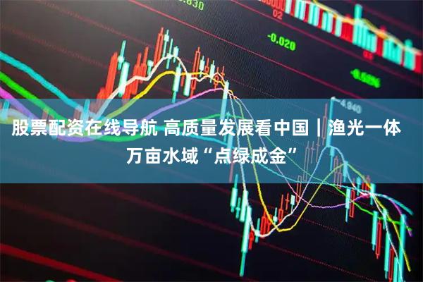 股票配资在线导航 高质量发展看中国｜渔光一体  万亩水域“点绿成金”